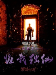 网游之惟我独仙