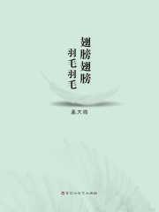 翅膀翅膀，羽毛羽毛