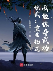 综武：重生杨过，我能掠夺武功在线阅读
