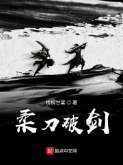 柔刀破剑在线阅读