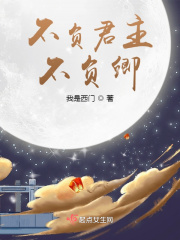 不负君主不负卿在线阅读