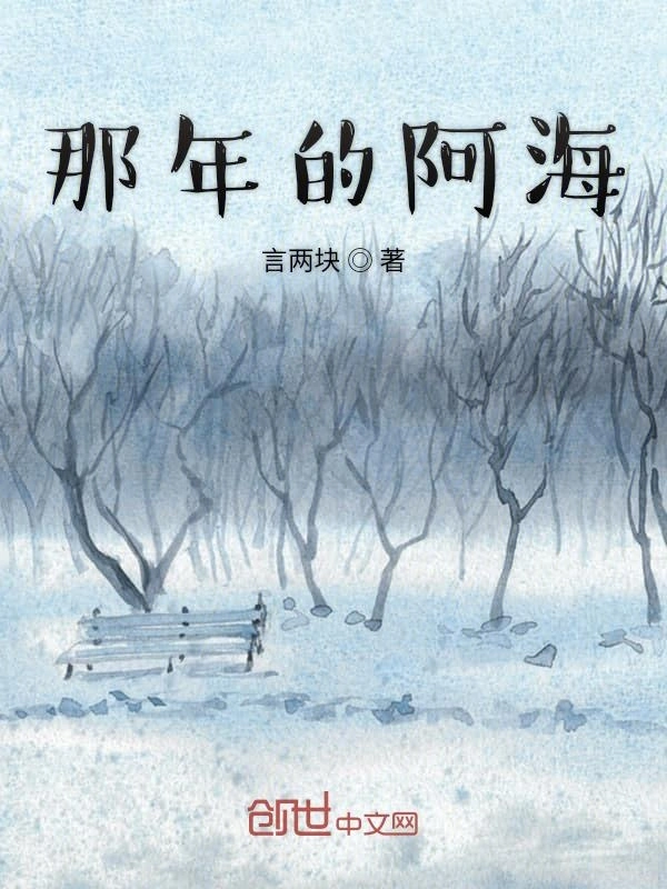 那年的阿海