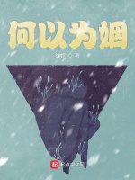 何以为姻在线阅读