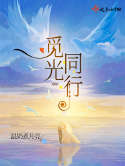 觅光同行在线阅读