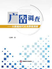 广告调查：大数据时代的消费者洞察