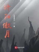 骄阳傲月封面