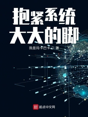抱紧系统大大的腿
