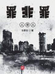 罪非罪人非人在线阅读