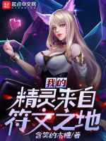 我的精灵来自符文之地在线阅读