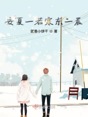 安夏一若寒东一晨在线阅读