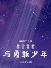 魔法宝石与勇敢少年在线阅读
