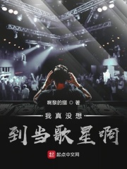 我真没想到当歌星啊在线阅读
