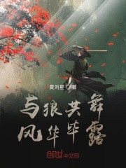 与狼共舞风华毕露