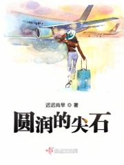 圆润的尖石在线阅读