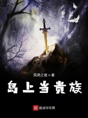 岛上当贵族