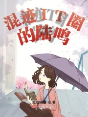 混迹IT圈的陆鸣在线阅读