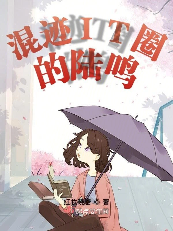 混迹IT圈的陆鸣