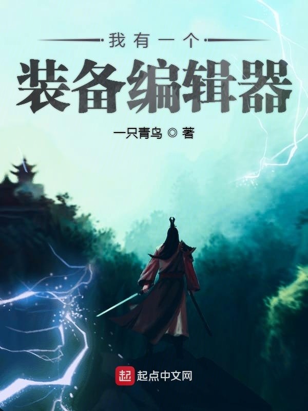 我有一个装备编辑器在线阅读