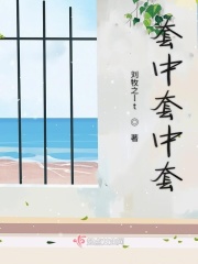 套中套中套在线阅读