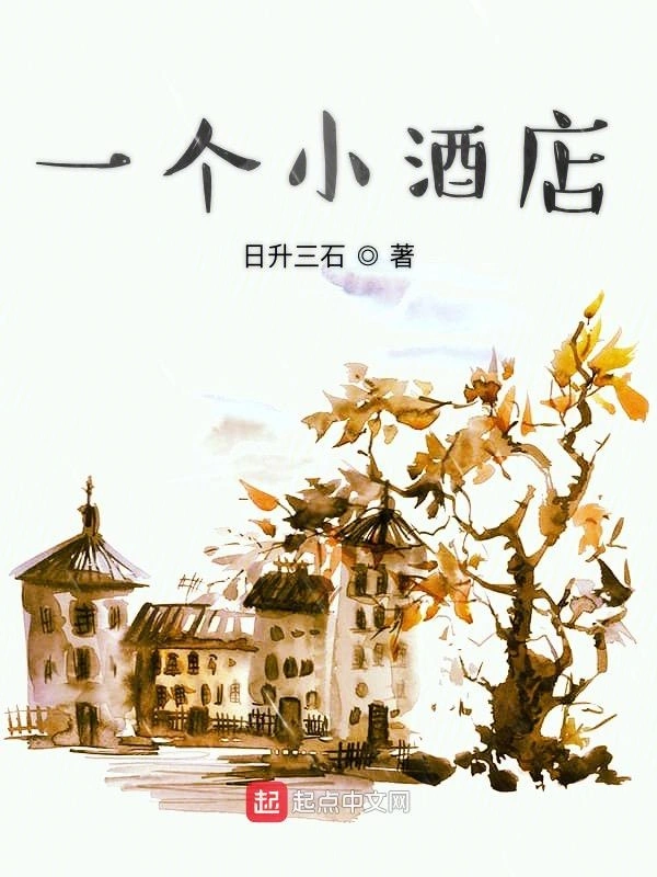 一个小酒店