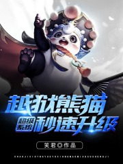 超级系统越狱熊猫秒速升级