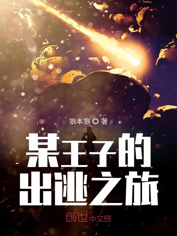 某王子的出逃之旅