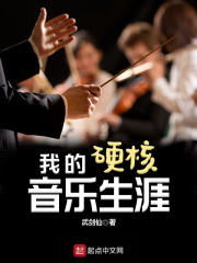 我的硬核音乐生涯在线阅读