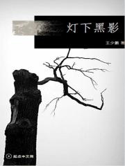 灯下黑影在线阅读