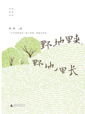 野地里来，野地里长(叶开)全本在线阅读-起点中文网官方正版