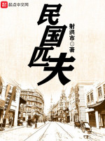 民国匹夫在线阅读
