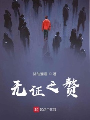 无证之赘在线阅读