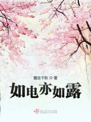 如电亦如露在线阅读