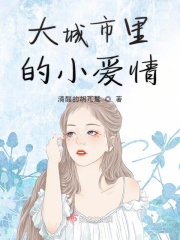 大城市里的小爱情在线阅读