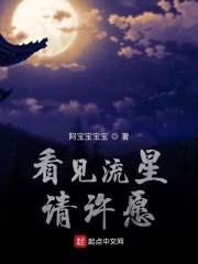 看见流星请许愿在线阅读
