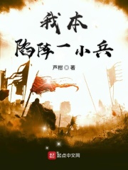 我本陷阵一小兵在线阅读