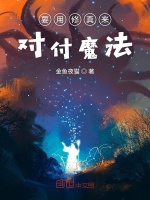 要用修真来对付魔法封面