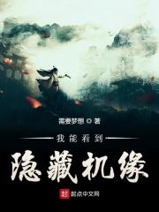 我能看到隐藏机缘在线阅读