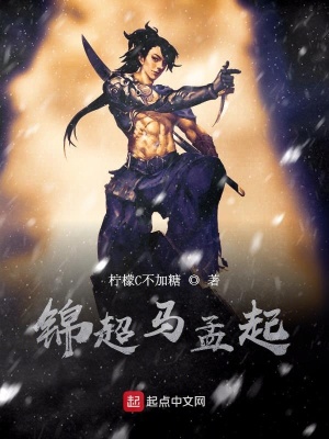 锦超马孟起 柠檬c不加糖著 秦汉三国小说 锦超马孟起无弹窗 起点中文网