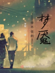 停不住的梦魇在线阅读