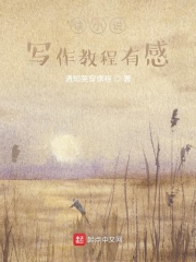 读小说写作教程有感