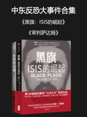 中东反恐大事件合集（共2册）在线阅读