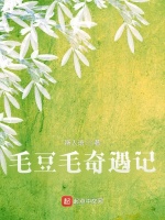 毛豆毛奇遇记在线阅读