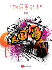大国小商在线阅读