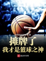 摊牌了我才是篮球之神在线阅读