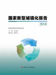 国家新型城镇化报告2018