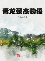 青龙豪杰物语在线阅读