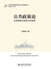 公共政策论：社会转型与政府公共政策》小说在线阅读-起点中文网手机端