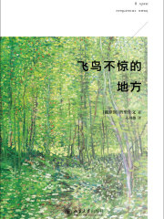 飞鸟不惊的地方