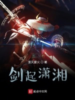 剑起潇湘封面