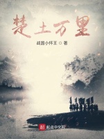 楚土万里封面